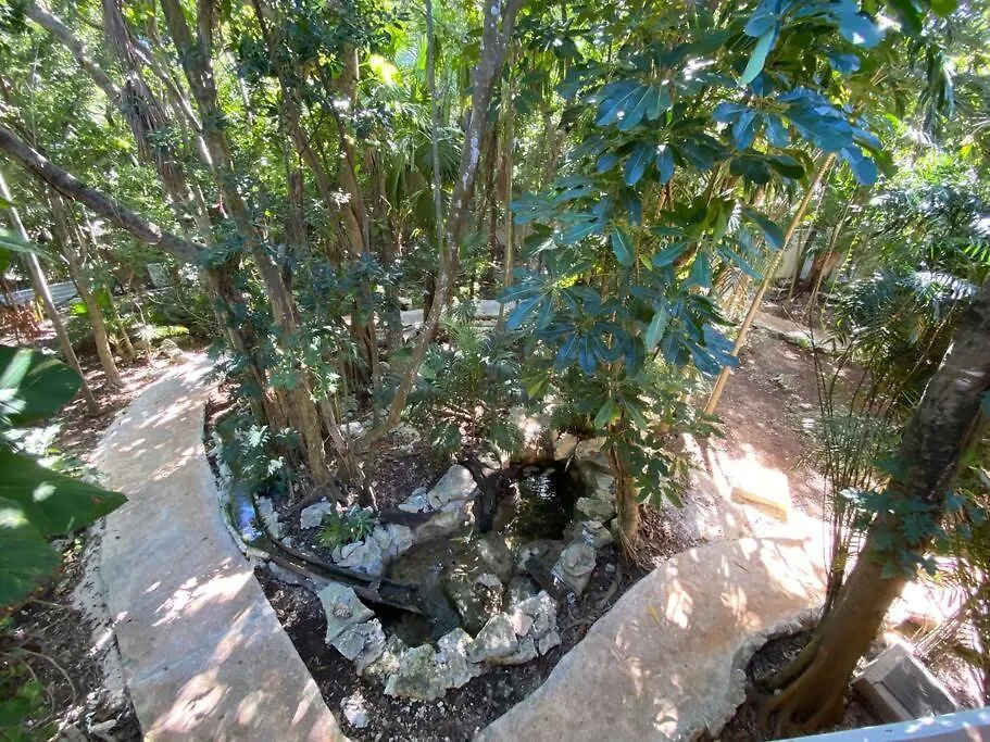 Holiday home Jungle Oasis By The Beach: Casa Selva On 38Th Street Playa del Carmen Mexico