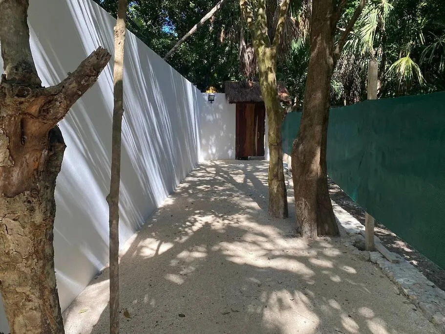 Jungle Oasis By The Beach: Casa Selva On 38Th Street Playa del Carmen 0*,