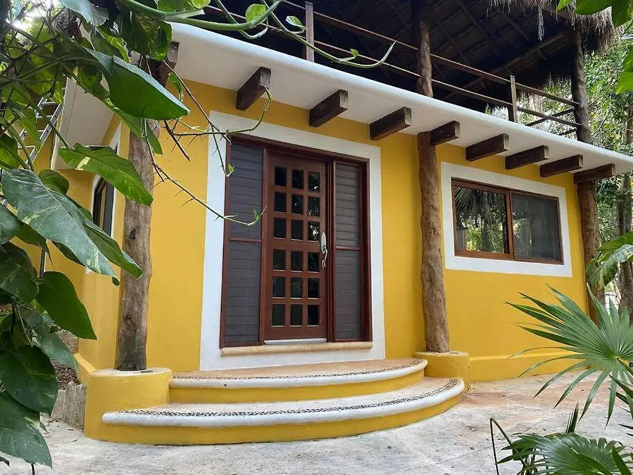 Holiday home Jungle Oasis By The Beach: Casa Selva On 38Th Street Playa del Carmen