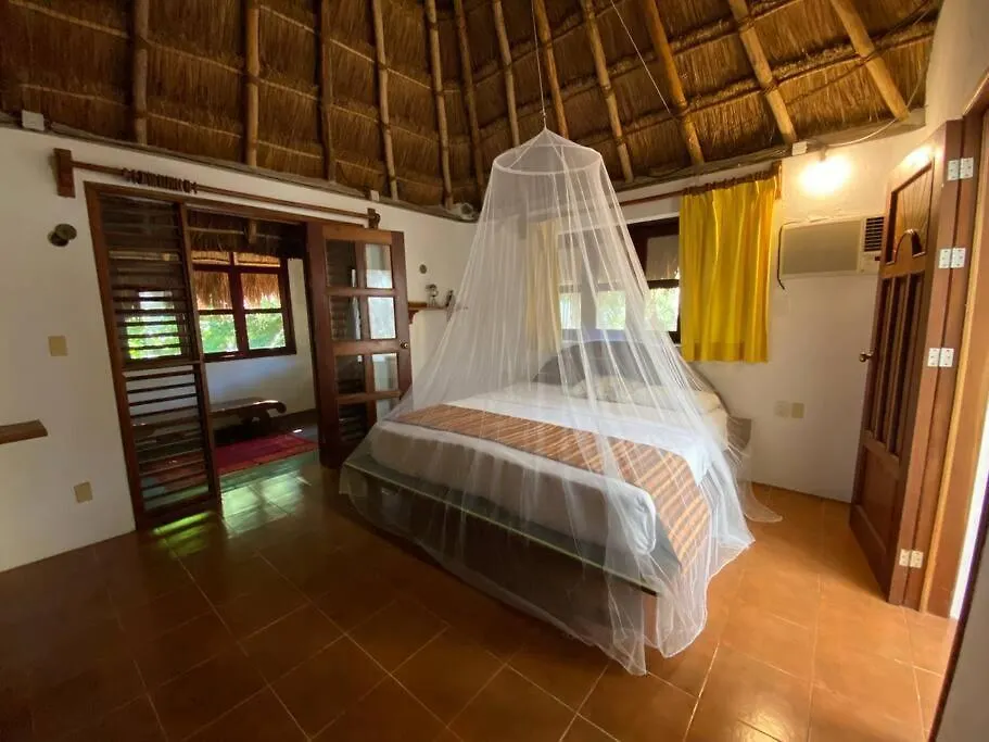 Jungle Oasis By The Beach: Casa Selva On 38Th Street Playa del Carmen Messico
