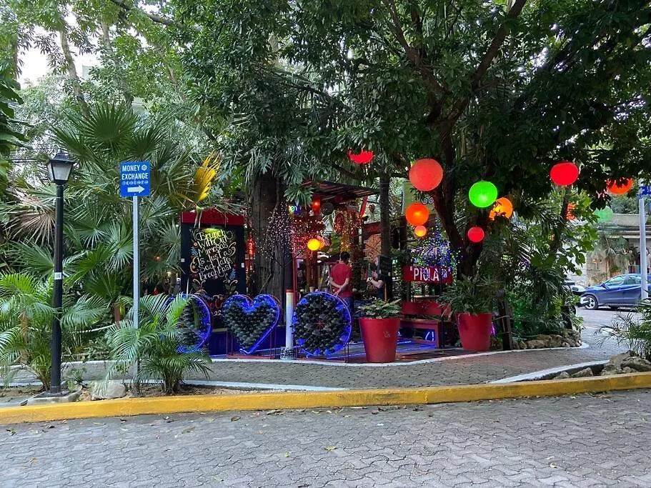 Jungle Oasis By The Beach: Casa Selva On 38Th Street Playa del Carmen 0*,